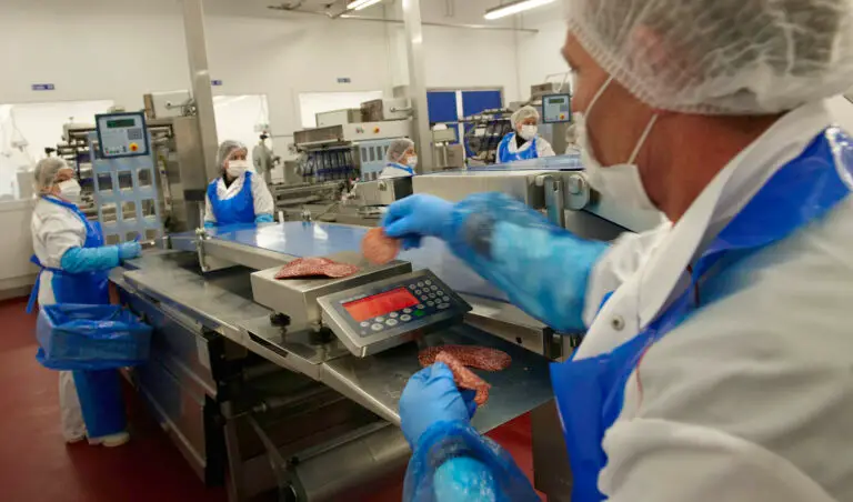 Balance pour contrôle agroalimentaire
